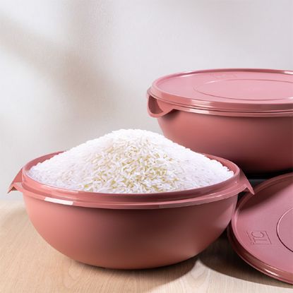 Picture of Bowl With Lid 10Lt - Cherry (New)