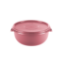 Picture of Bowl With Lid 5Lt - Coral