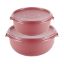 Picture of (PS208+PS210) Bowl Set W/Lids 2.5Lt + 5Lt - Coral