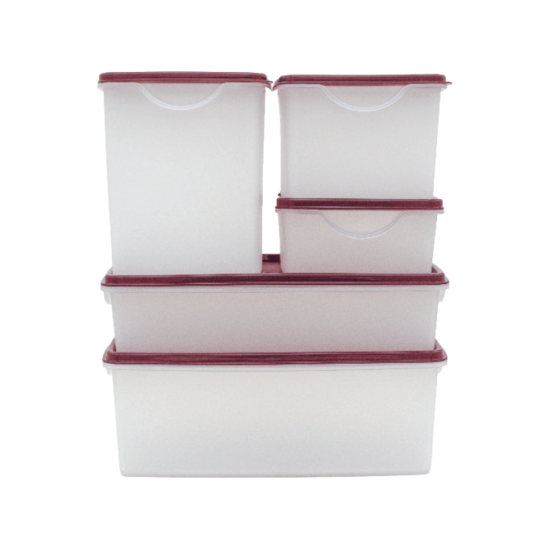5pc Fridge Storage Set (500ml - 1.7Lt) - Cherry|Table Charm Direct
