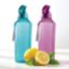 Picture of (PS605+PS625) Hex Water Bottles 1,1Lt-Teal+Cherry